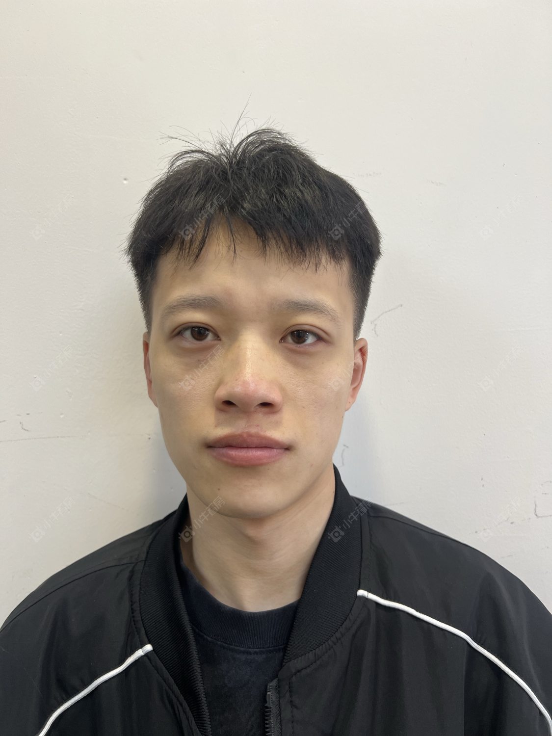 租房经纪人花晨展